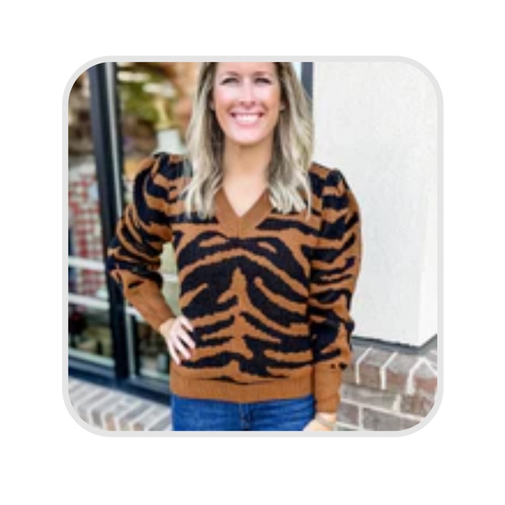 NWT tiger print boutique sweater